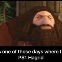 Pardijn