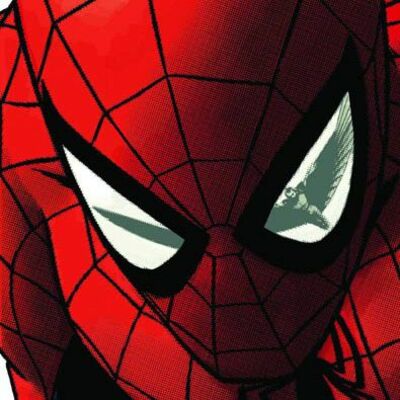 PROJECT SPIDEY
