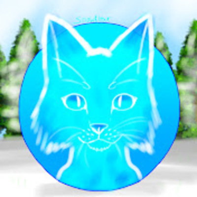 Snowkitty X