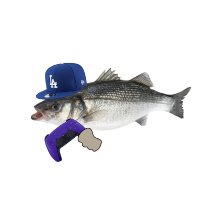 AcerTheManokit