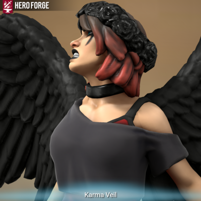 KarmaVeil