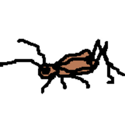 Neighborhood Cricket