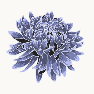 Dahlia