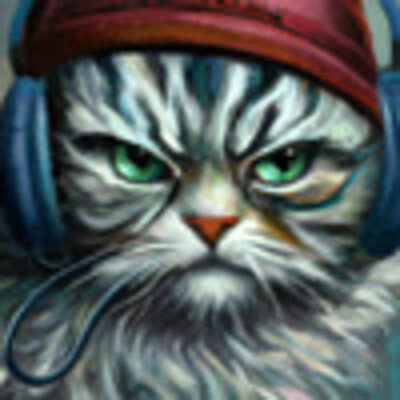 Mr Cat 007