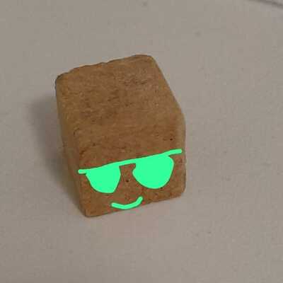 Blockbud