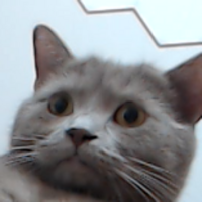 megg