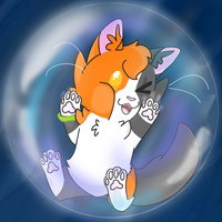 MapleDrizzle