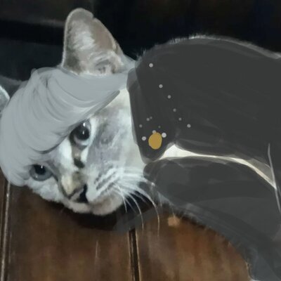 FatMeowMaster