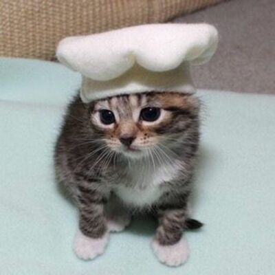 CakeyChou