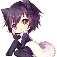 LumaWolfLuv