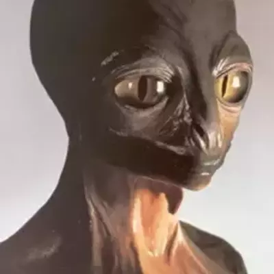 Mikruiz900