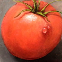 OttotheTomato