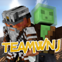 TeamWnJ