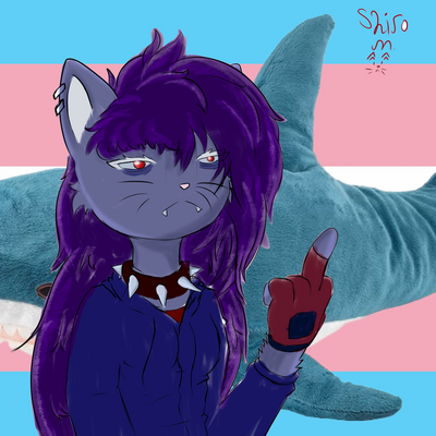 Shiro Nyanko