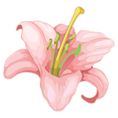 Red Lily