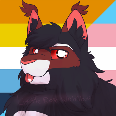 Magnus_Moggy