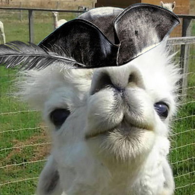 alpaca.pirate