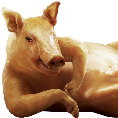 SeductiveSwine