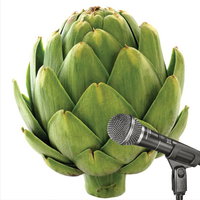 ArtichokeVA