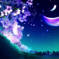 blossom_07