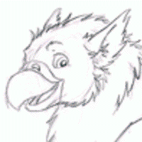 griffon