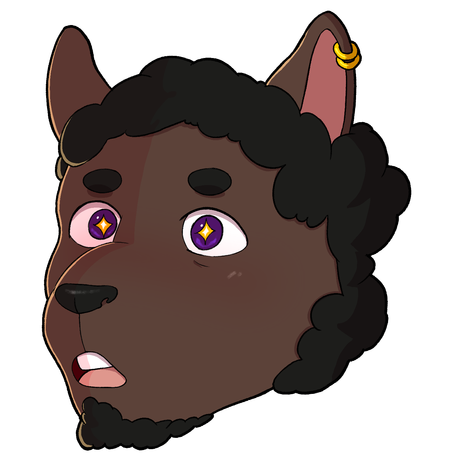 Stray sheep