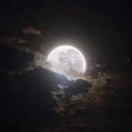 Moonlit Animations