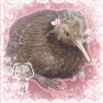 Kiwi