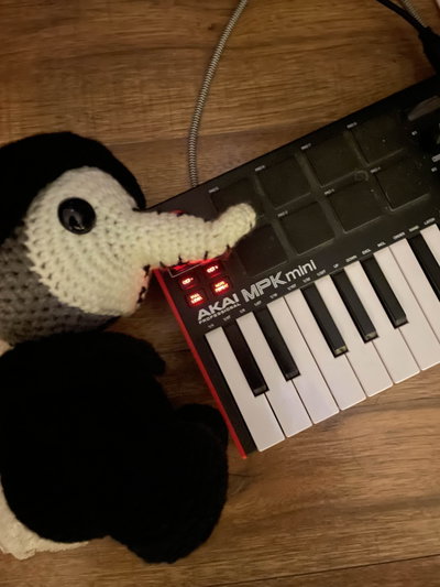 Birb