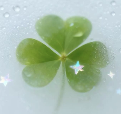 Clover
