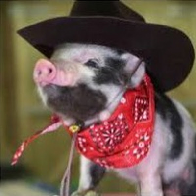Fizzpig