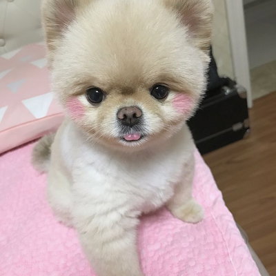 lilly ♡🧁