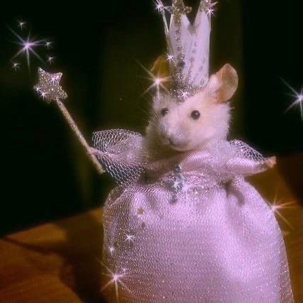 Ratatouille