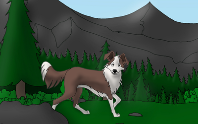 Kodiak Seppala