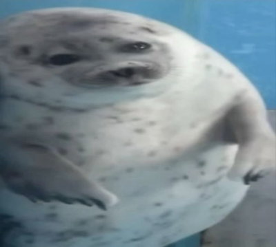 Mira