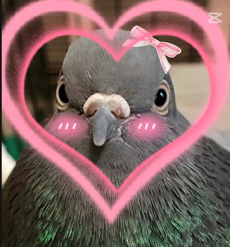 ★  🎀  𝒥𝒶𝓃𝑒  🎀  ★