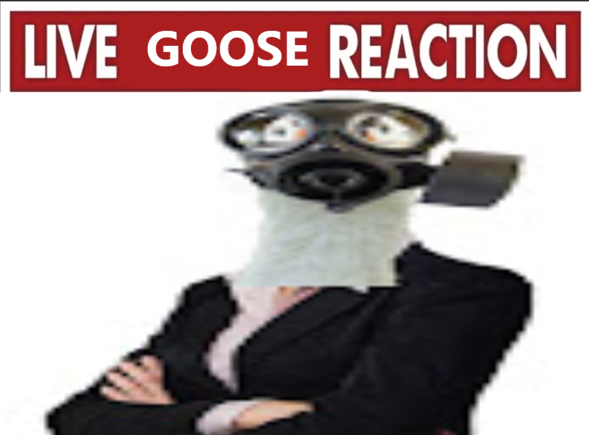 LucyGoosey