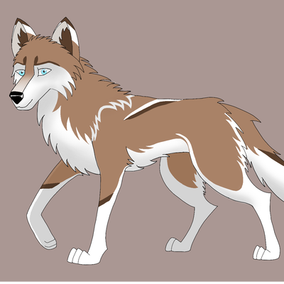 Kodiak Seppala