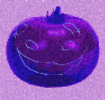 BluTomatoe