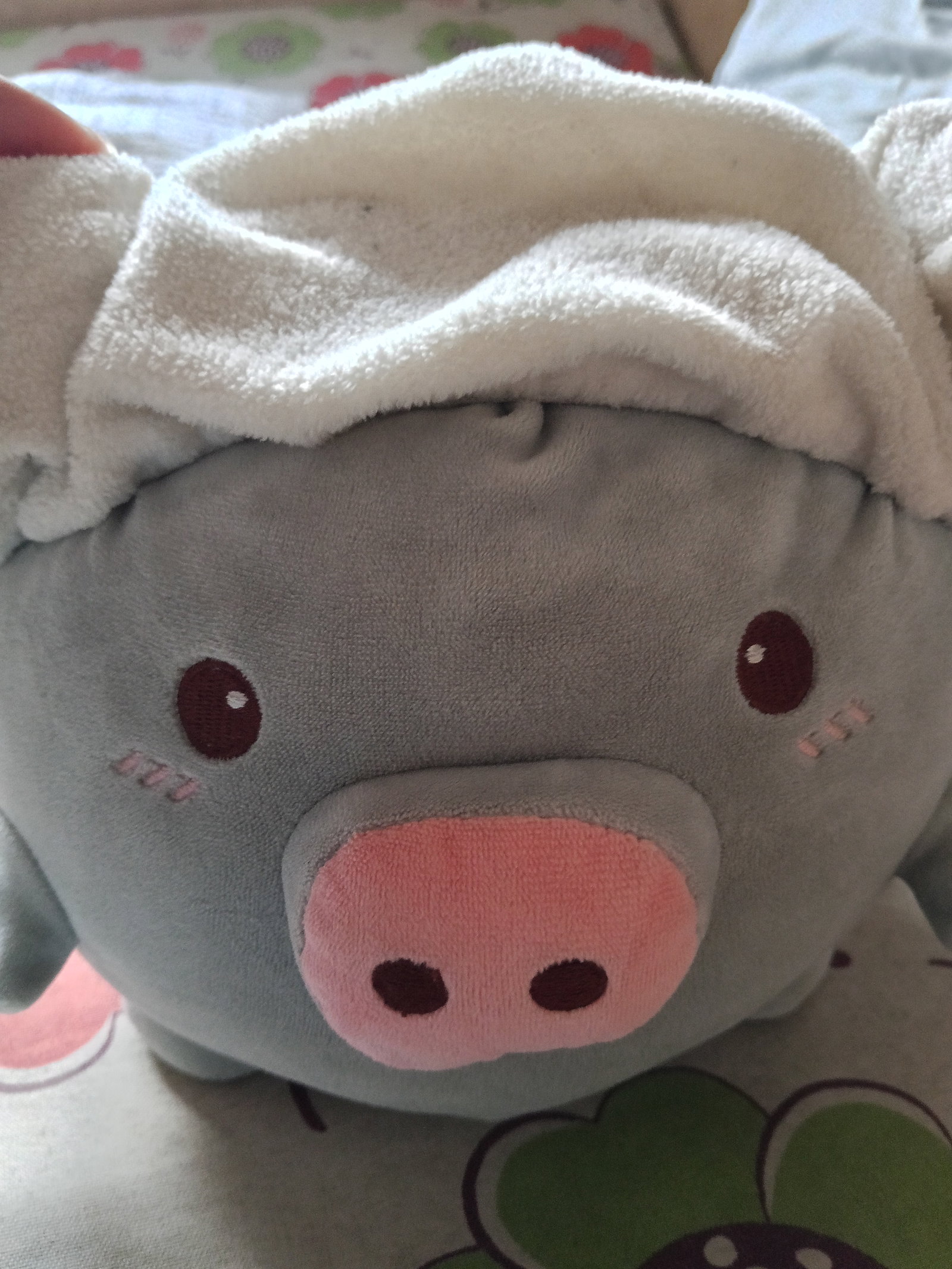 SomethingFishy