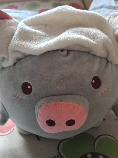 SomethingFishy