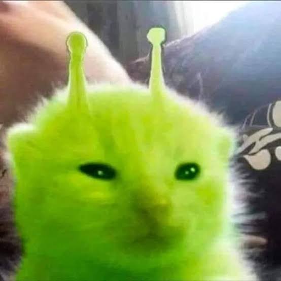 >✰ Dat0neCat ★<