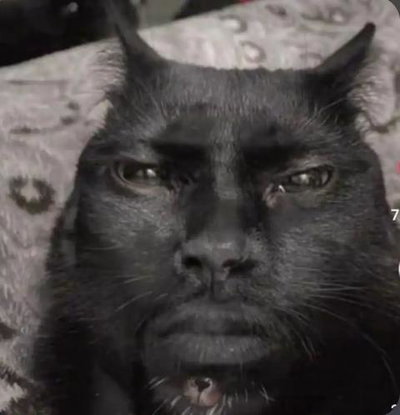 Nick