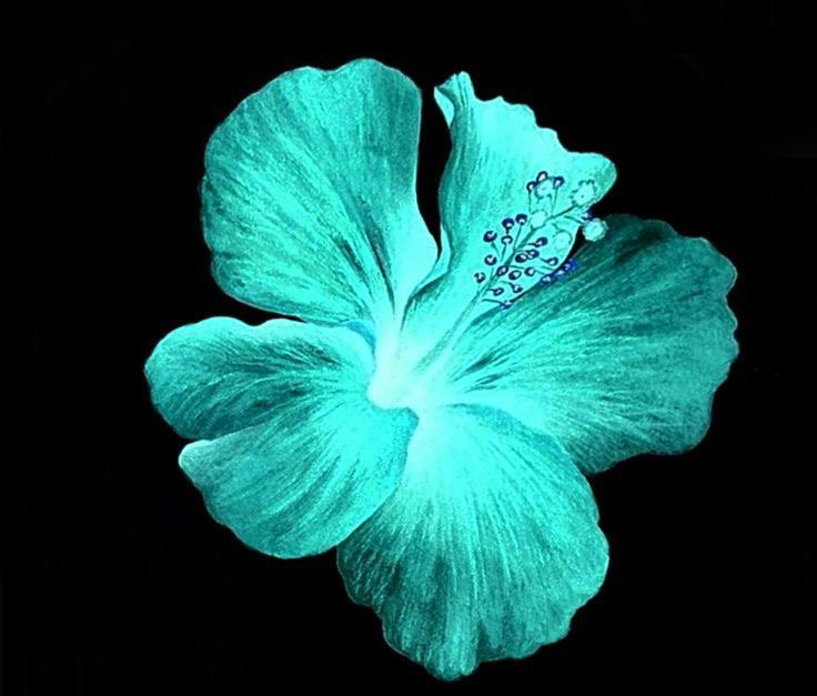 𝓢𝓽𝓪𝓻𝓻𝔂 𝓜𝓮𝓸𝔀