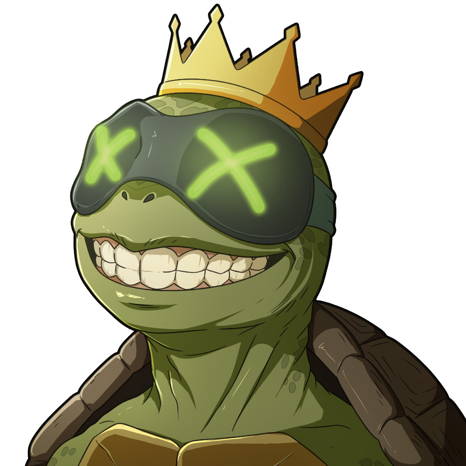TurtleKing070