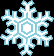 SnowflakeorchidVA