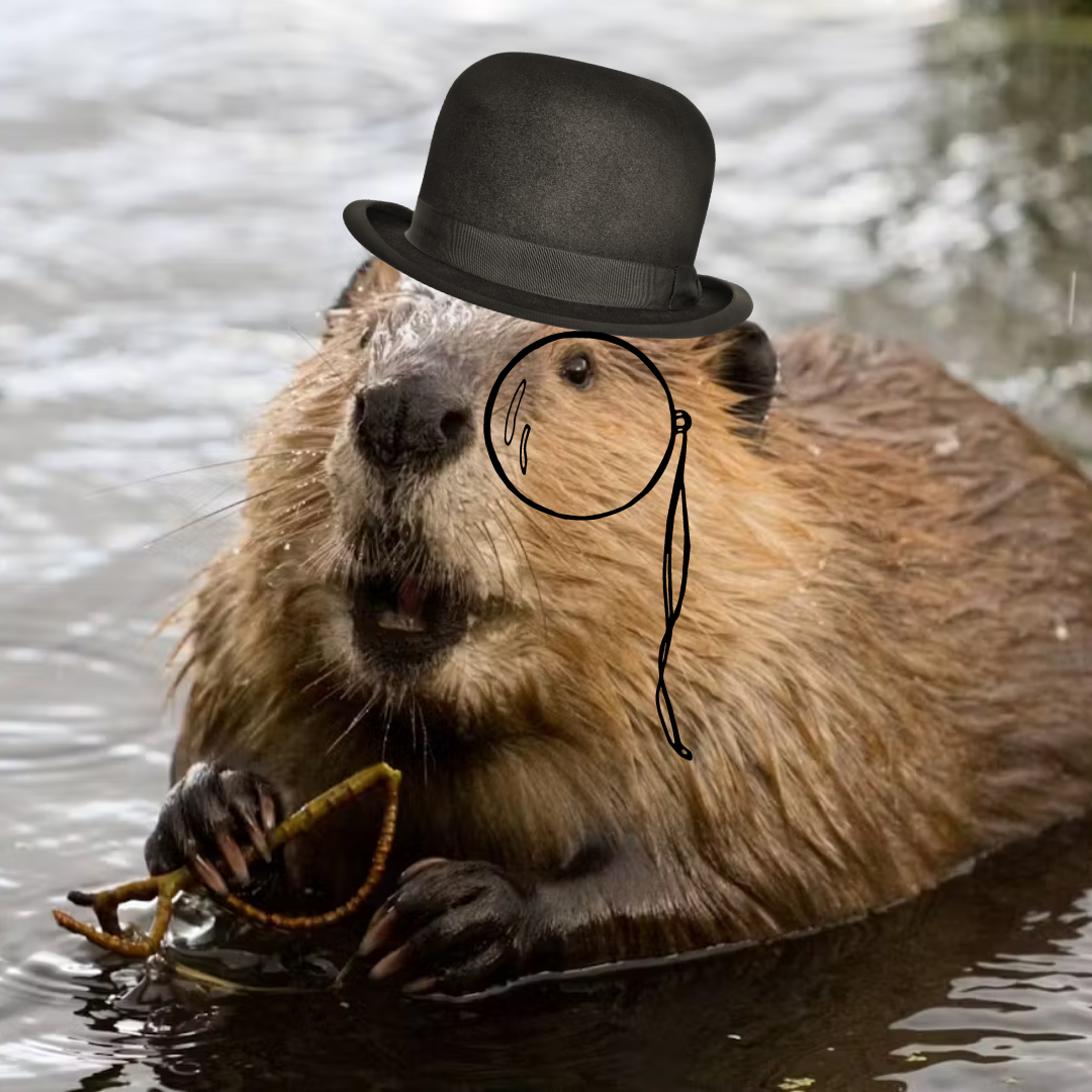 MrWeaver