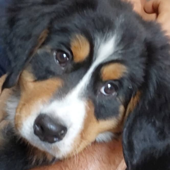 Charlie!