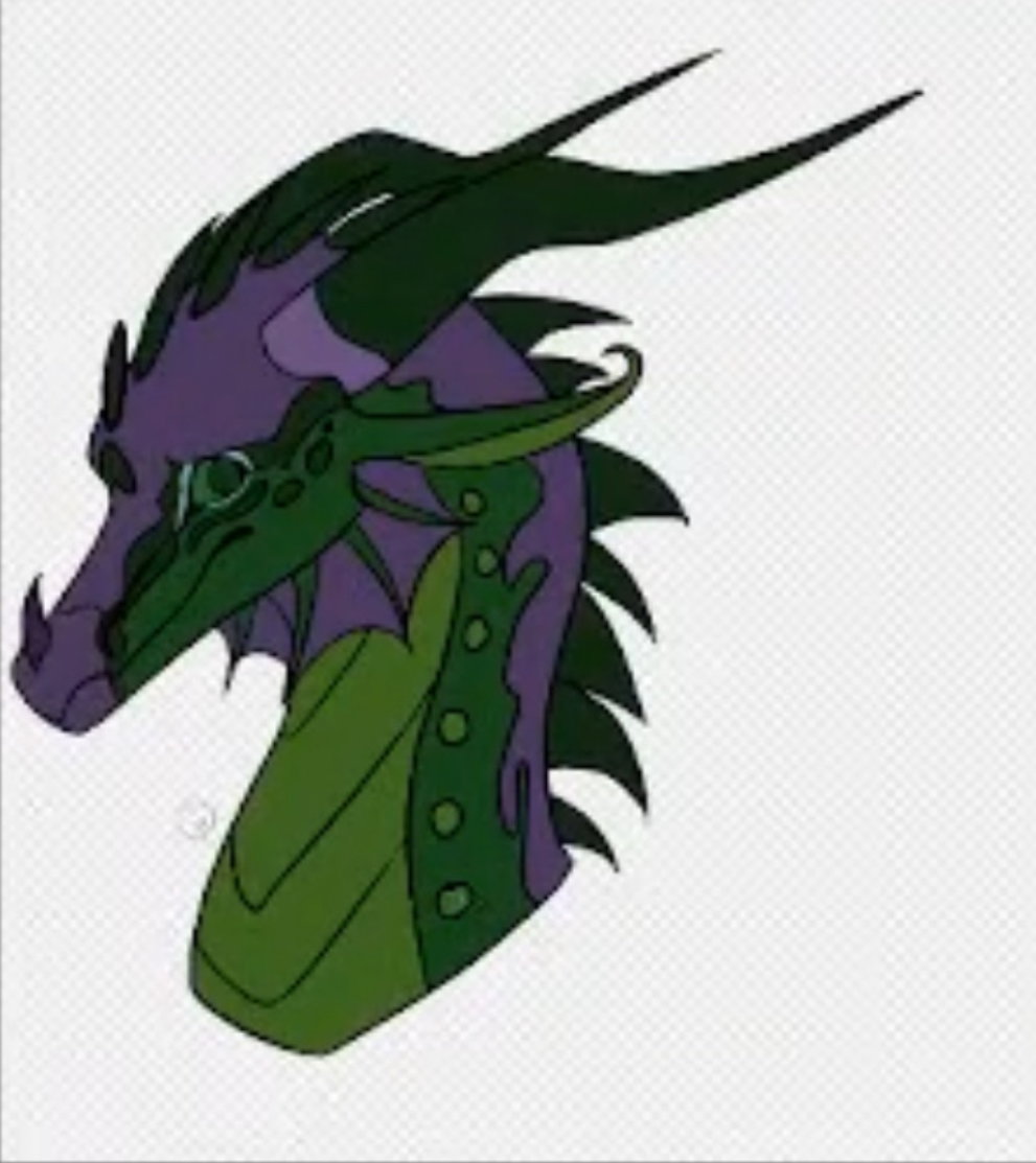 Lizard