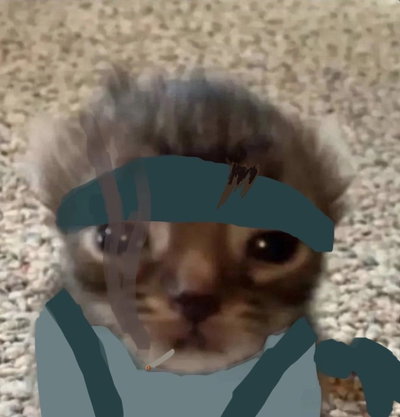 flin